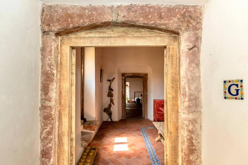 Amapola Loft Διαμέρισμα Σαν Μιγκέλ ντε Αγιέντε Εξωτερικό φωτογραφία